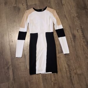 Torn by Ronny Kobo color block dress